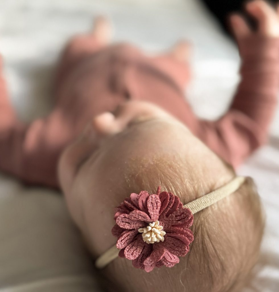 haarbandje milou herfst 1