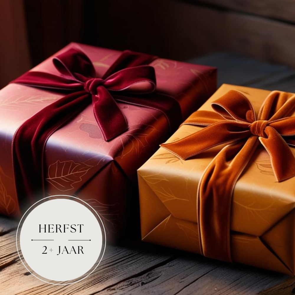 mysterybox haarspeldjes