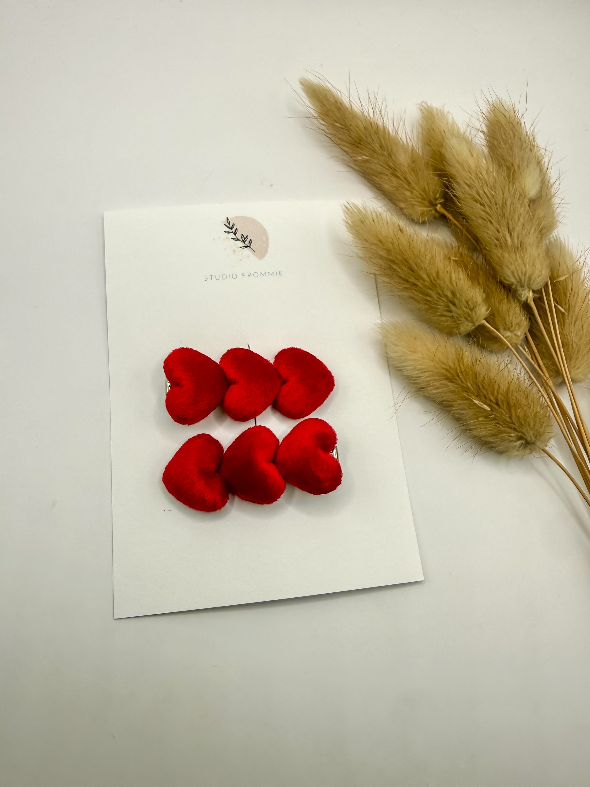 Setje haarspeldjes hartjes - rood